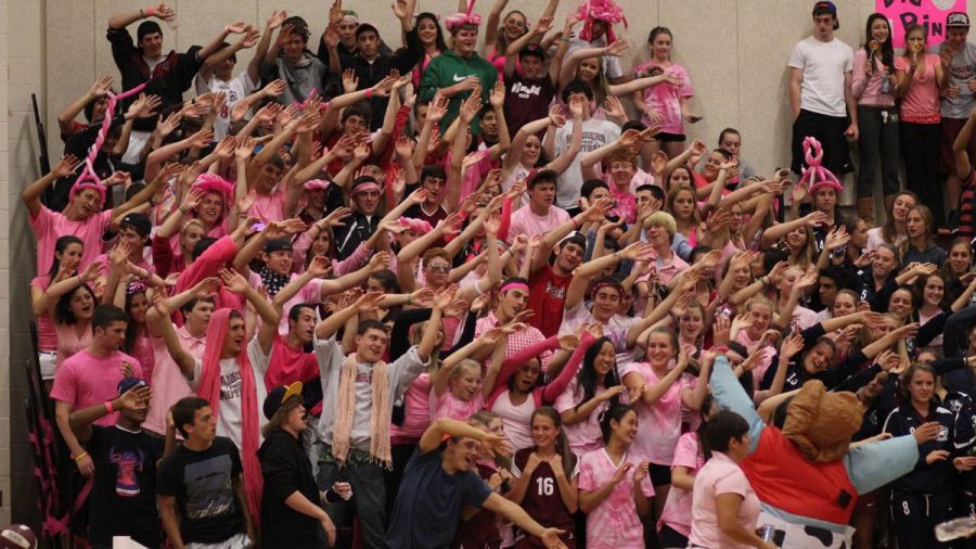 Dig Pink Volleyball Fans 2011