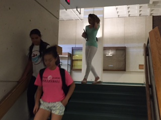 Don’t Walk on the Left Side of the Staircase: Freshman Tips for Surviving WHS
