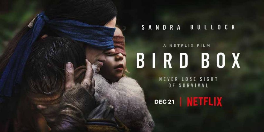 Bird Box: Worth A Watch