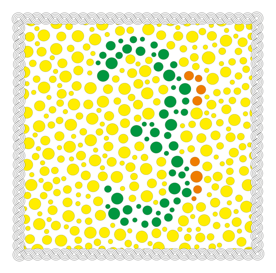 What colors and number do you see in this color blindness test?