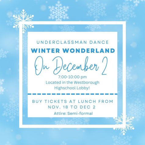 WHS Underclassmen Winter Wonderland Dance: December 2