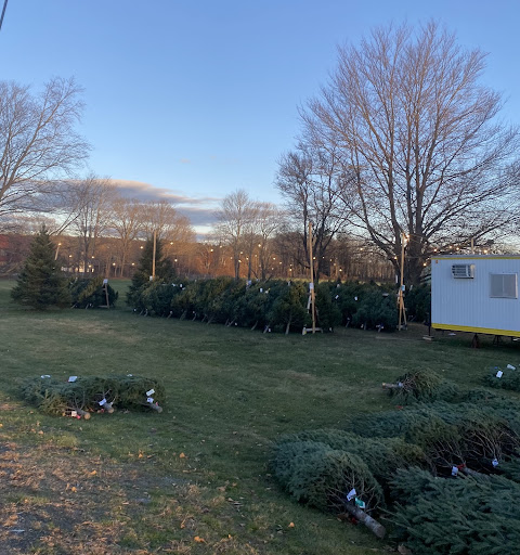 Hastings Christmas Tree Farm:  In Need of WHS Volunteers