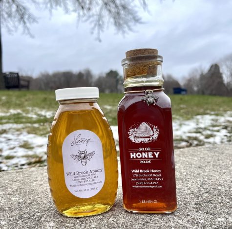 Wild Brook Honey: A local apiary company in the Worcester County area. 