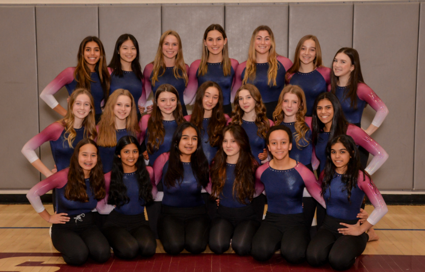 Record Breaking Score for WHS Gymnastics Team