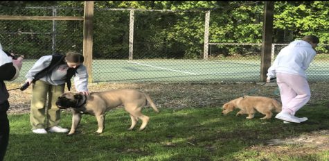 Westborough Connects Encourages Community Reconnection