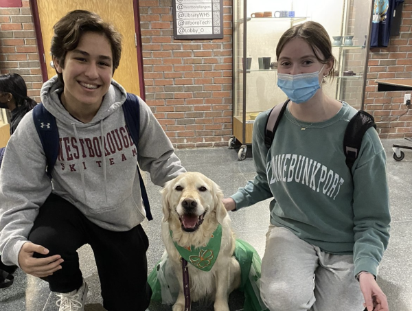 How Therapy Dogs Positively Affect Students Mental Health