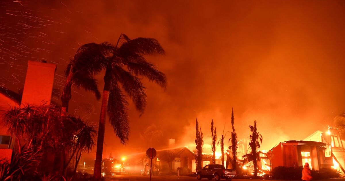 Image of the LA wildfires. (Source: latimes.com)