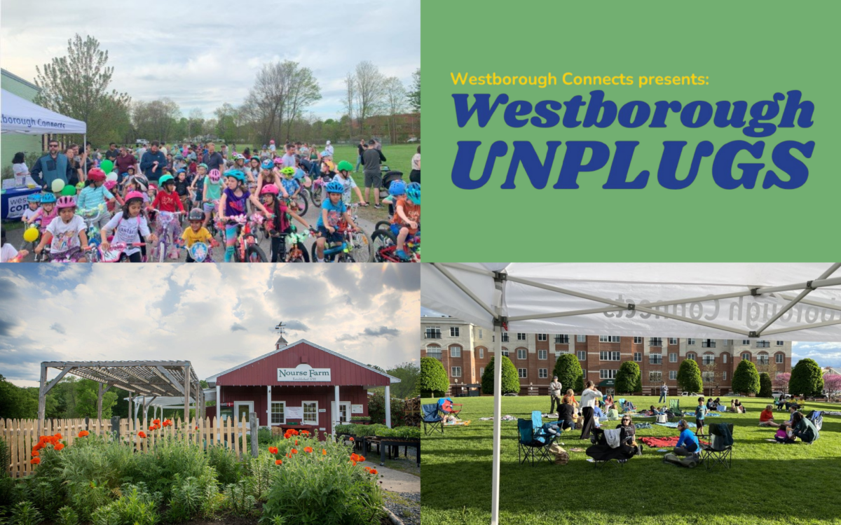 Westborough Connects Hosts Its Annual Unplugs Week