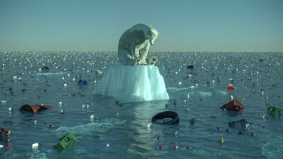 The Climate Crisis