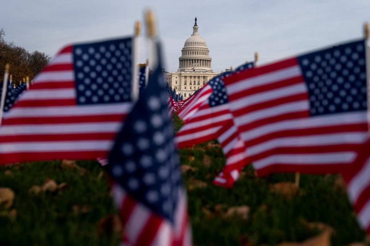 American flags flutter in front of the U.S. Capitol more than a month into the continuing U.S. government shutdown in Washington, D.C., U.S., November 7, 2025. REUTERS/Nathan Howard