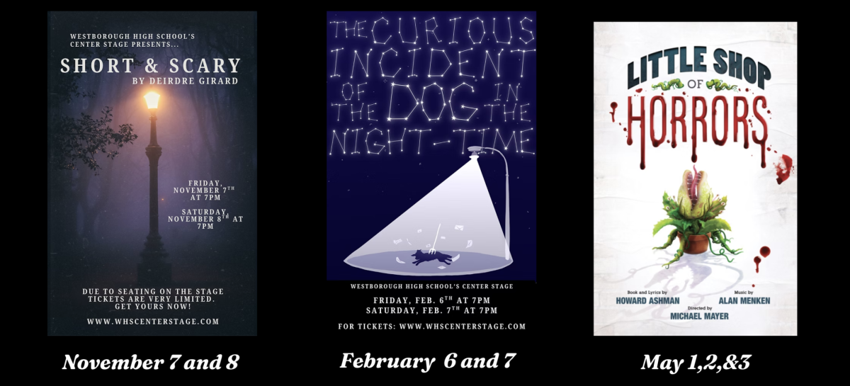 WHS Winter Play: The Curious Incident of the Dog in the Night-Time